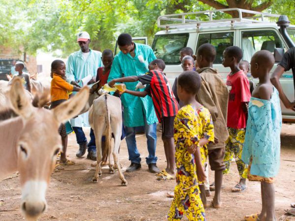 Children and three donkeys
