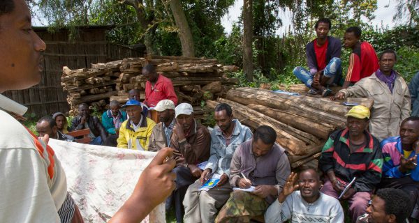 Vet training outside