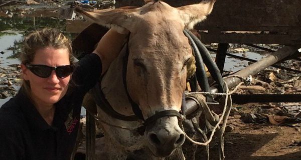 Woman wearing sunglasses and a donkey