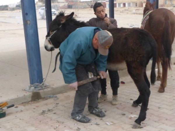 Man and children near brown donkey