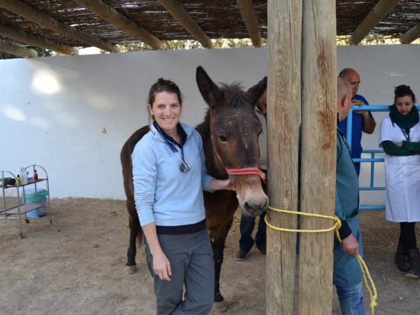 Smiling brunette woman and a horse