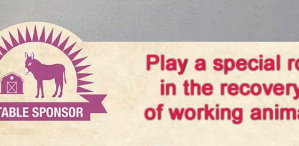 Stable sponsor logo with inscription 'Play a special role in the recovery of working animals'
