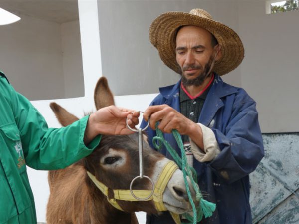 Men holding equipment