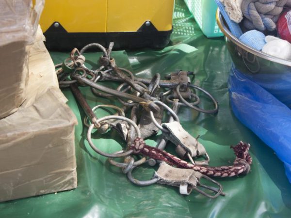 Old bits are exchanged for new ones at a SPANA mobile clinic