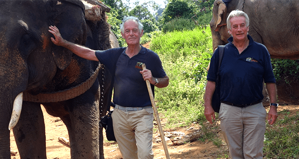 an elephant and three keepers