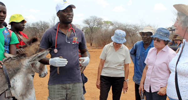 Supporter tour header photo