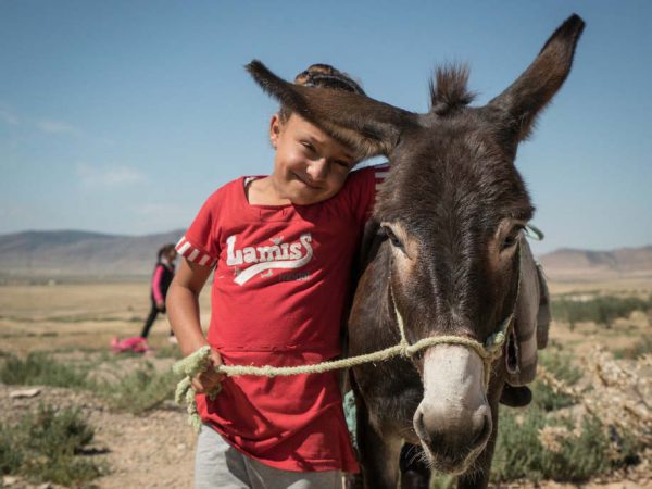 Girl hugging donkey