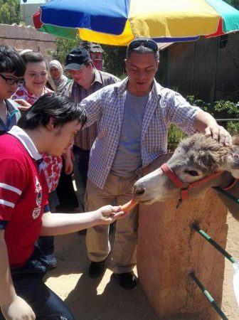 Man feeding a donkey in stable