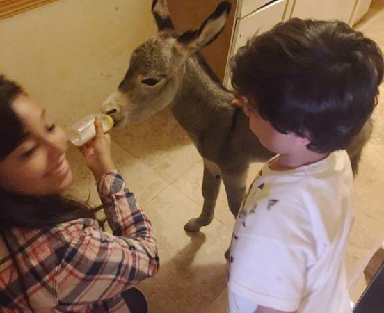 Woman with child feeding foal