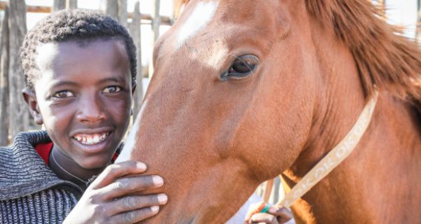 A boy and a brown horse