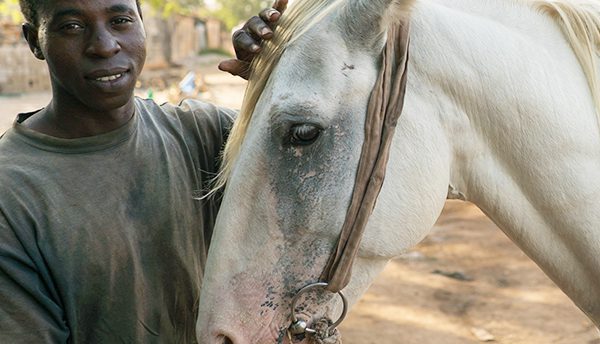 Dafijeh the white horse with his owner Kalifa