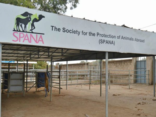 SPANA Ethiopia Centre