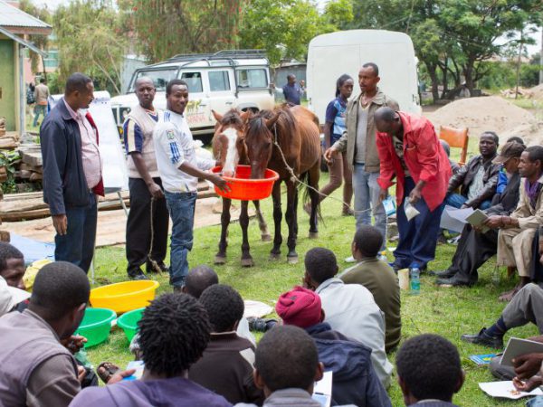 A group of people and horses drinking water