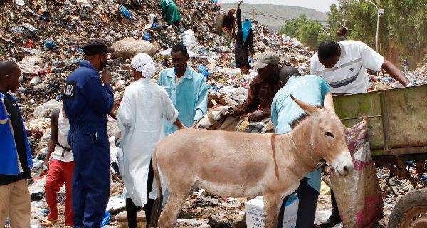 Bamako rubbish dump donkeys