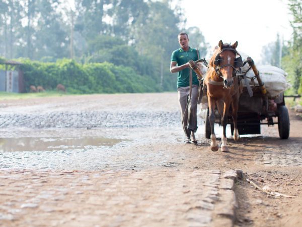 Horse pulling cart with man walking in Ethiopia