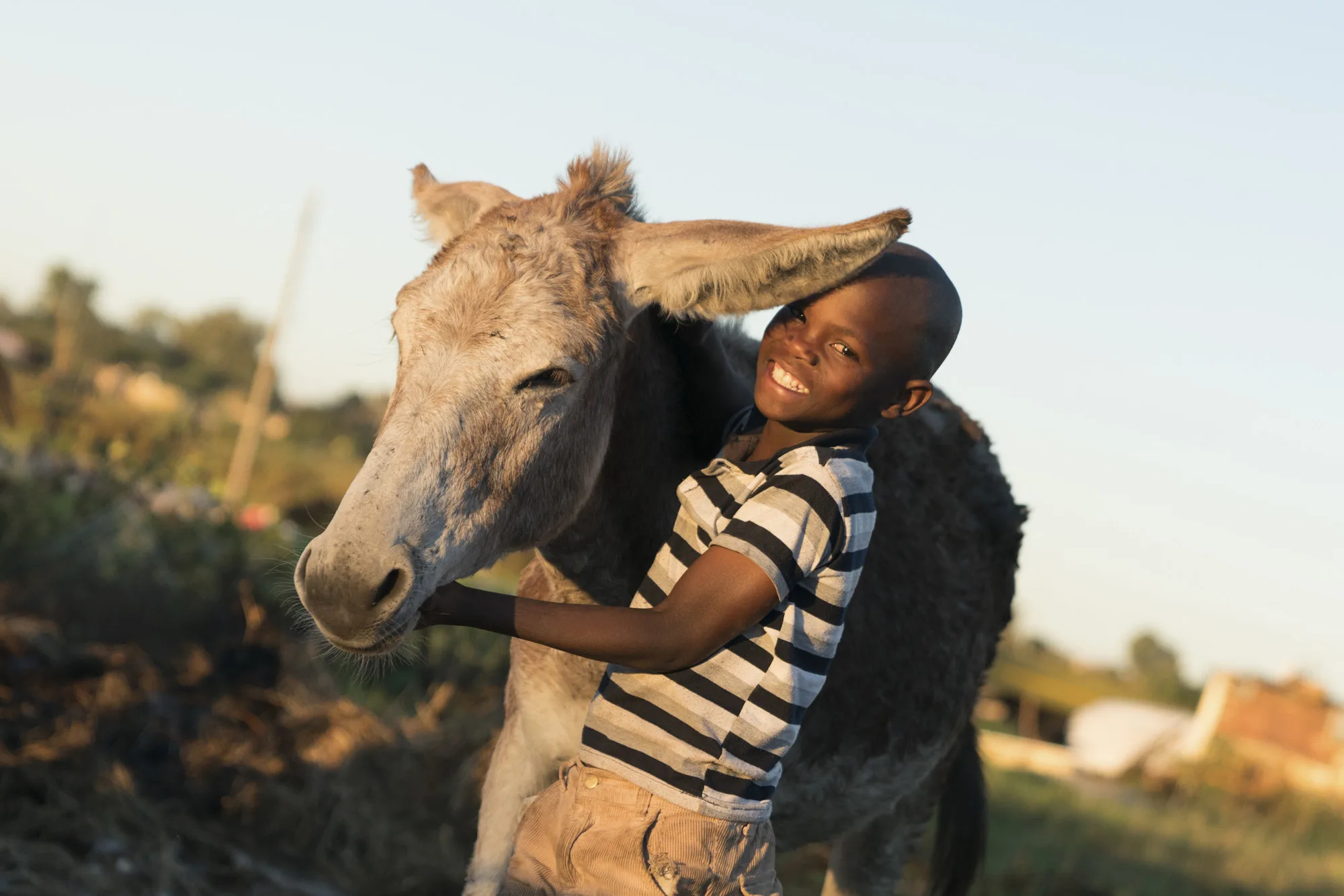 Smiling boy and his donkey in Africa