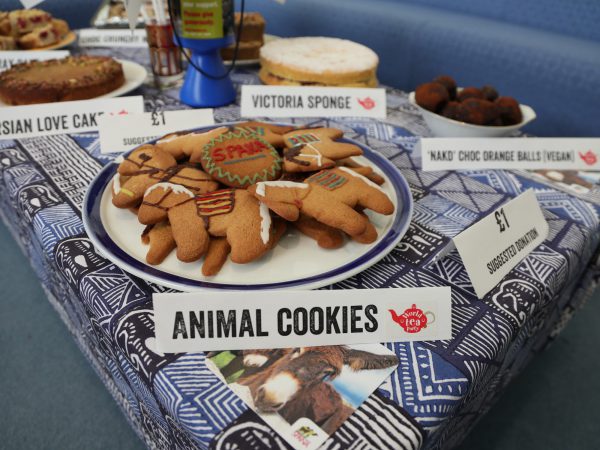 Animal cookies at tea party