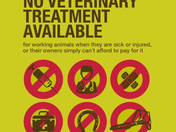 green graphic for working animals