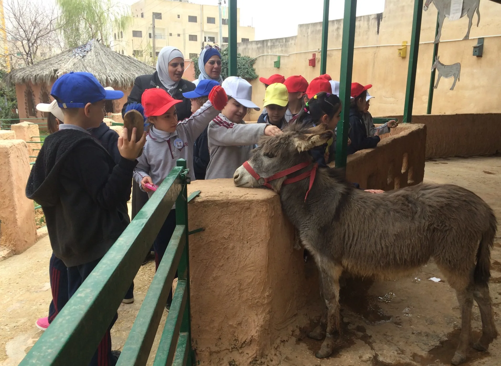 school children petting a donkey