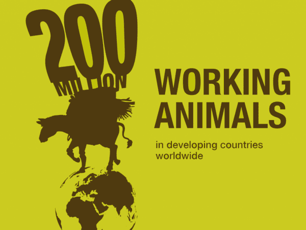 green graphic for working animals