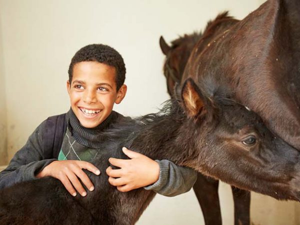 a small child and a foal