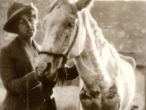 Woman in hat with thin white horse