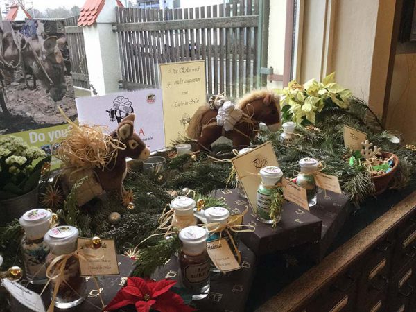 SPANA fundraising display in pharmacy