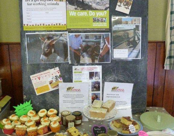 Coffee morning layout, hosted by Elaine Davies