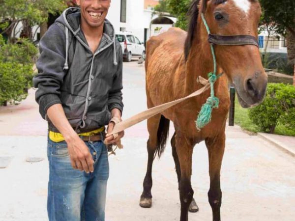 horse with owner