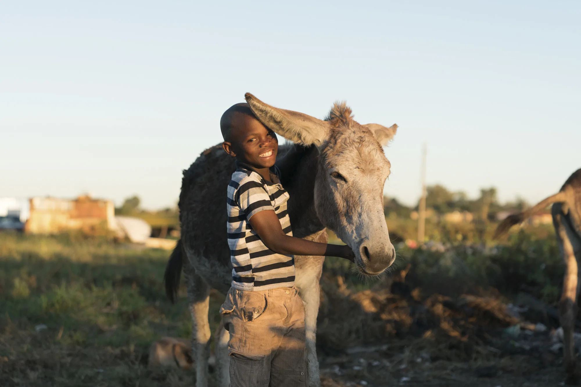Boy with his donkey in South Africa