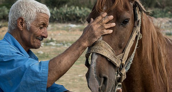 horse with elderly owner