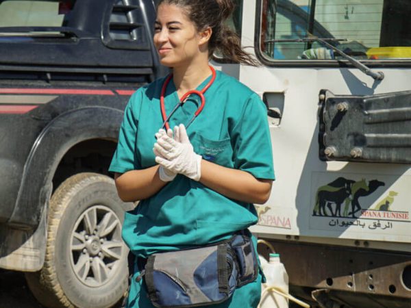 vet working in tunisia