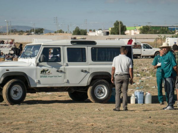 vets in tunisia