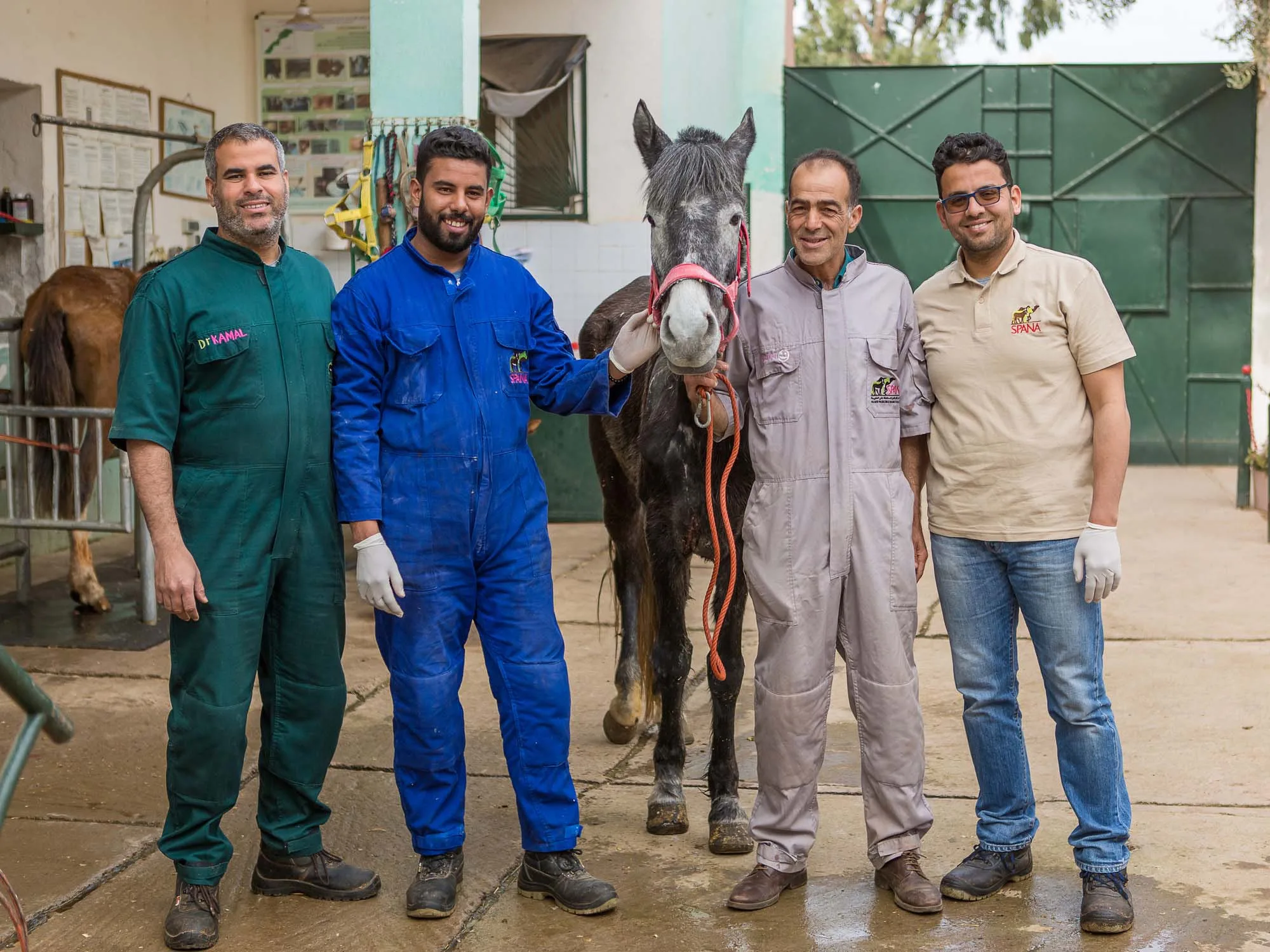 Four men standing with horse