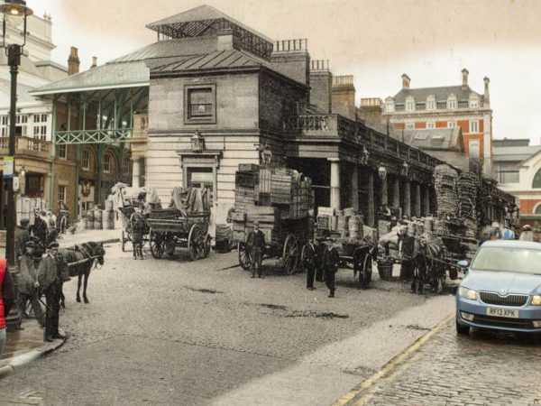working animals at covent garden london