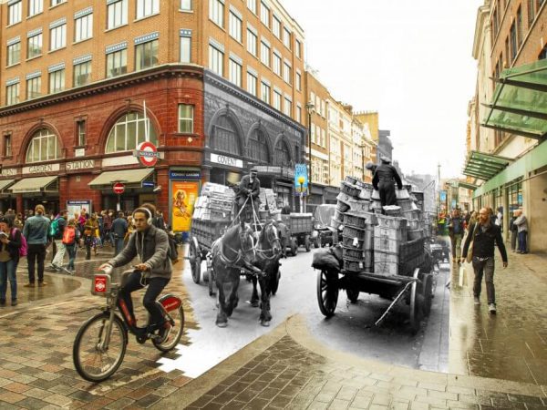 working animals at Covent Garden, London