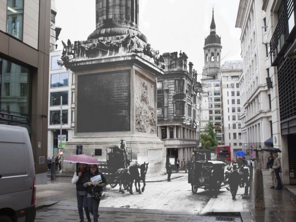 working animals at Monument, London