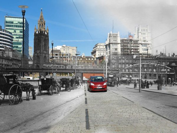 Working animals at Pierhead, Liverpool