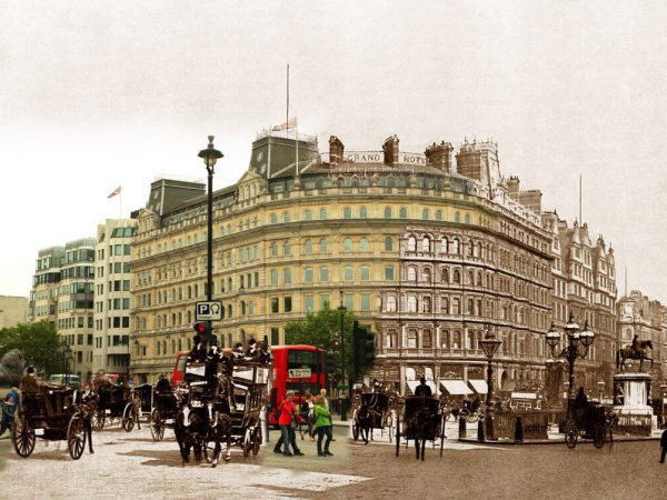 working animals at Trafalgar Square, London