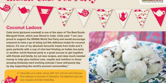 world tea party indian chai tea party