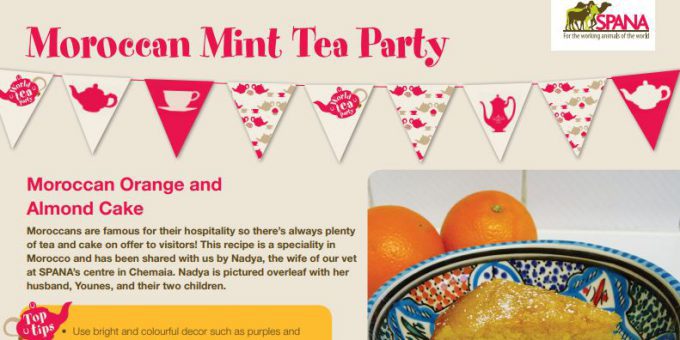 world tea party moroccan mint tea party