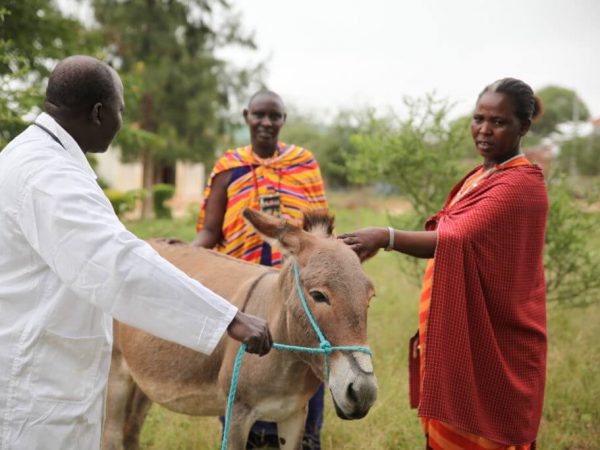group of men with a donkey