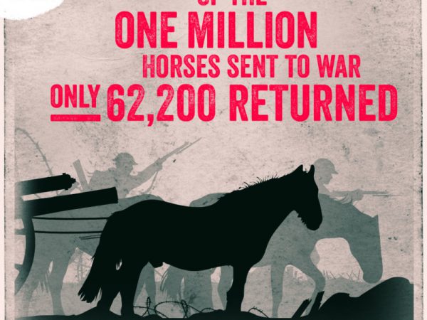 SPANA-Armistice-Poster