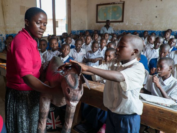 A child strokes a plastic donkey in an animal welfare class in Tanzania
