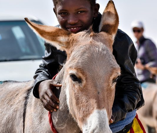 Child and donkey