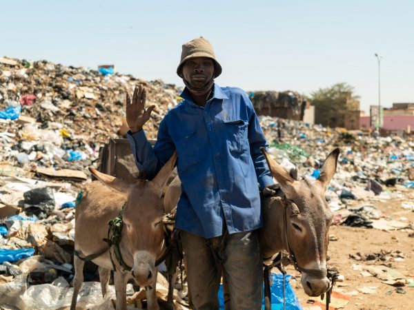two donkeys in bamako with their owner