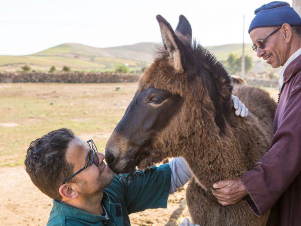 SPANA vet Youness during a home visit to check in on Najia's progress