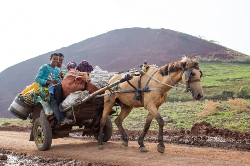 Brown horse pull a cart on people along a dusty road