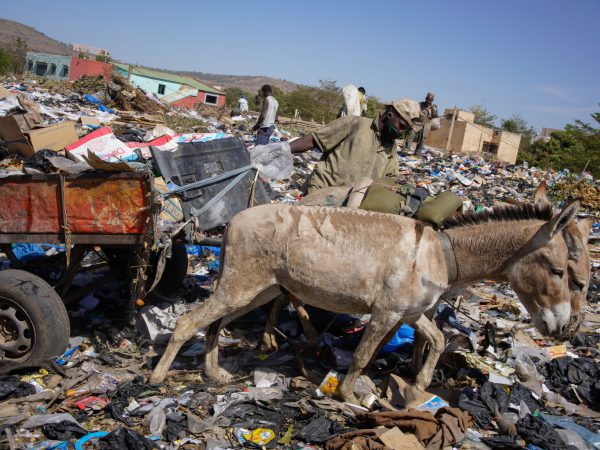 Case study, Mobilise Dec 2019