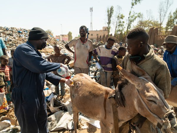 Case study, Mobilise Dec 2019